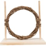 agility-ring-kanin_default.jpg