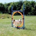agility-ring_default.jpg