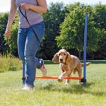 agility-spring-opstart_default.jpg
