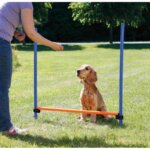 agility-spring-start_default.jpg