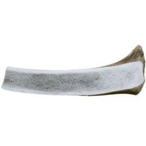 Antlers Gevir EASY (Hjorte gevir) Mix kasse 16 stk