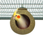 back-zoo-nature-coconut-house_default.jpg