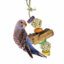 Back Zoo Corky Ball Tower XS