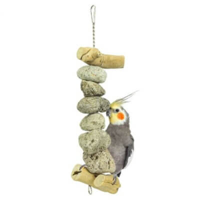 back-zoo-nature-java-lava-tower_default.jpg