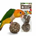 back-zoo-nature-treat-balls-large