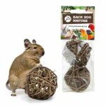 back-zoo-nature-treat-balls-large-(3)