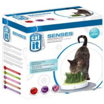 catit-catgrass_default.jpg