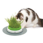 catit-senses-Grass-planter_default.jpg