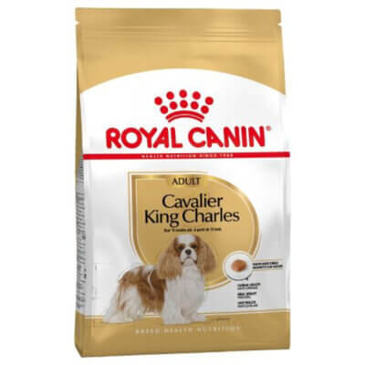 cavalier-adult_default.jpg