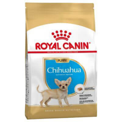 chihuahua-puppy_default.jpg