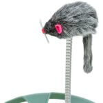 crazy-cirkel-pelsmus-mus