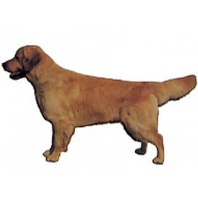 dekal-108_default.jpg