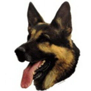 Dekal Schæfer lille 4stk