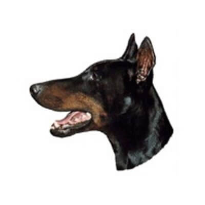 dekal-doberman-pincher-stor-2stk_default.jpg