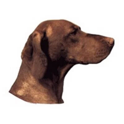 dekal-stor-vizla_default.jpg
