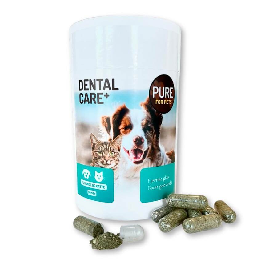 PURE Dental Care+ 90 kapsler kosttilskud til hund og kat mod dårlig ånde og tandsten