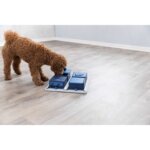 dog-activity-box-med-labradoodle_default.jpg
