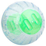 exercise-ball-hamster_default.jpg