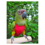 flightsuit-large-red_default.jpg