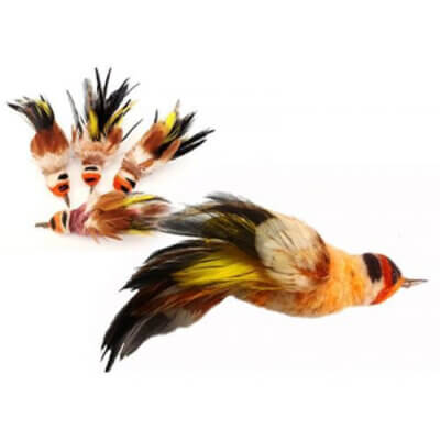 frenzygoldfinch-500x500_default.jpg