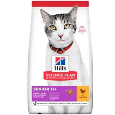 hills-feline-senior-11-aar_default.jpg