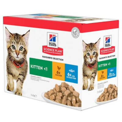 hills-portionspose-kitten-multi_default.jpg