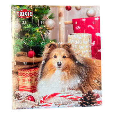 hund trixie jul