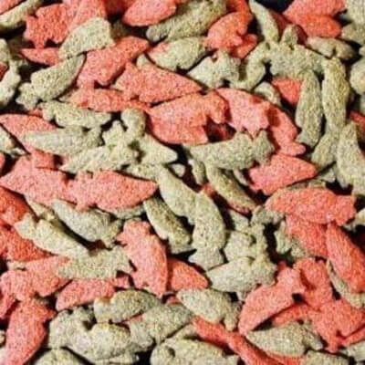 jr-farm-guleroedder1_default.jpg jr-farm-guleroedder1_default.jpg