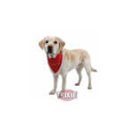 julebandana-1_default.jpg