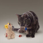 kong-cat-softies-buzzy-llama-2_default.jpg