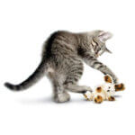 kong-softies-fuzzy-bunny-1_default.jpg