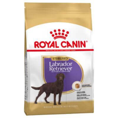 labrador-sterilised1_default.jpg