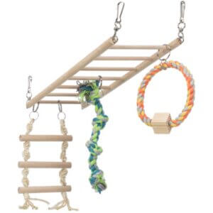 Legestige til hamster/mus