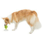 lick-n-snack-aktivitetsbold5_default.jpg
