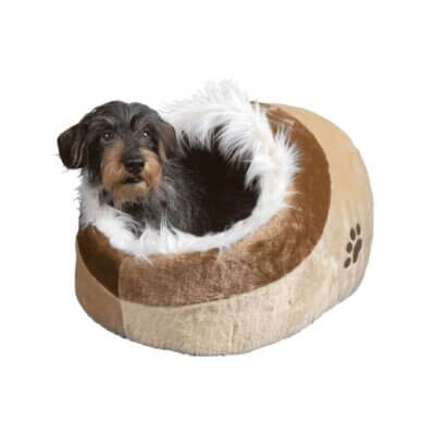 minou-trixie-hund_default.jpg