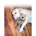 naaaar-wildl-knots-med-labrador_default.jpg