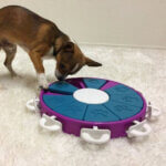 nina-ottosson-dog-twister2_default.jpg