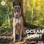 ocean-sport-halsbaand-sort1_default.jpg