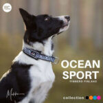 ocean-sport-halsbaand-sort_default.jpg