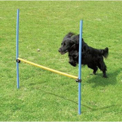 pawise-agility-spring_default.jpg