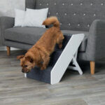 pet-stairs-trappe-indendoers2_default.jpg