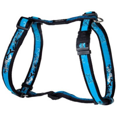 rogz-sele-turquise-chrome-60-100-cm_default.jpg rogz-sele-turquise-chrome-60-100-cm_default.jpg