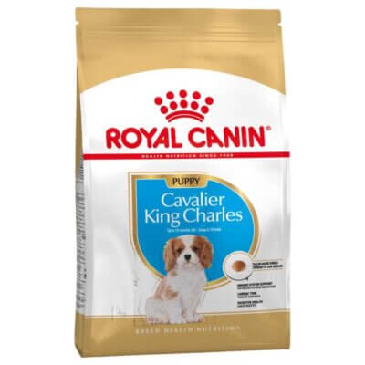 royal-canin-cavalier-king-charles-puppy_default.jpg