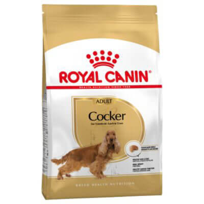 royal-cnain-cocker_default.jpg