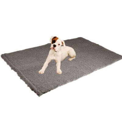 show-tech-pet-bed_default.jpg