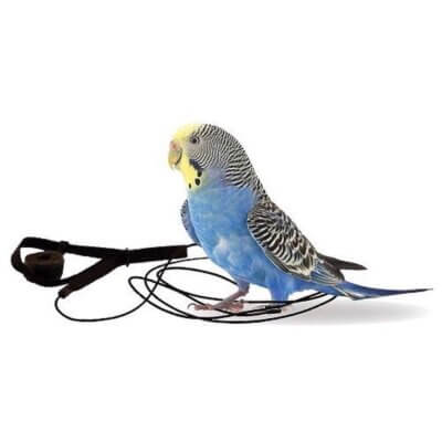 the-aviator_default.jpg