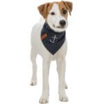 toerklaede-til-dansk-svensk-gaarhund_default.jpg