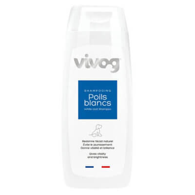 vivog-2