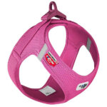 Curli-Fuchsia