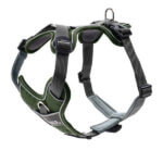 hunter-Divo-green